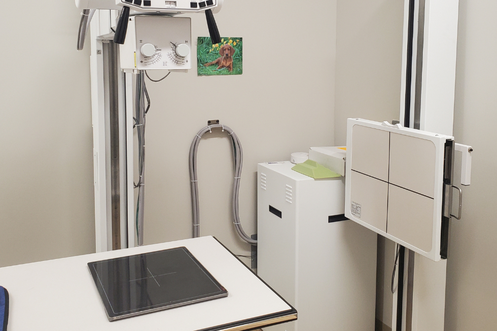 Why Urgent Care Matters In Lakewood And Aurora